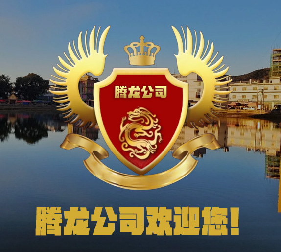 腾龙国际大厦实景